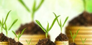 Attractive Stock of Yesterday — Gevo (GEVO)